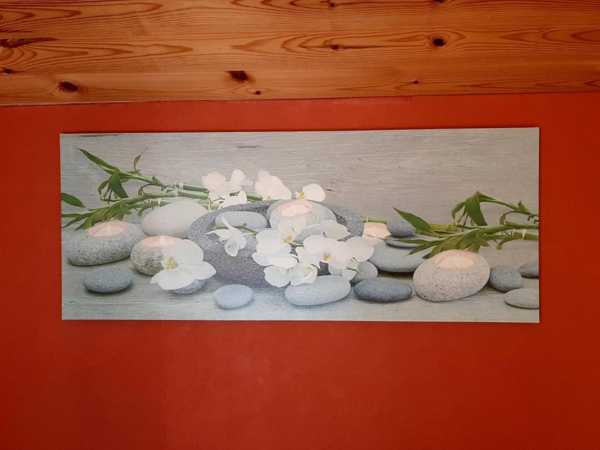 Vakantiewoning Het Oude Laer 比尔曾 外观 照片