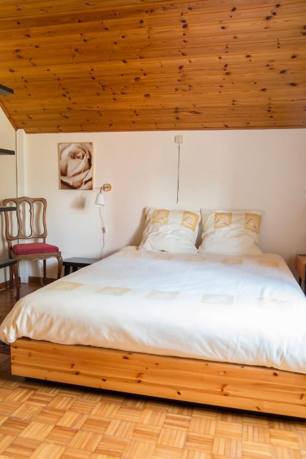 Vakantiewoning Het Oude Laer 比尔曾 外观 照片