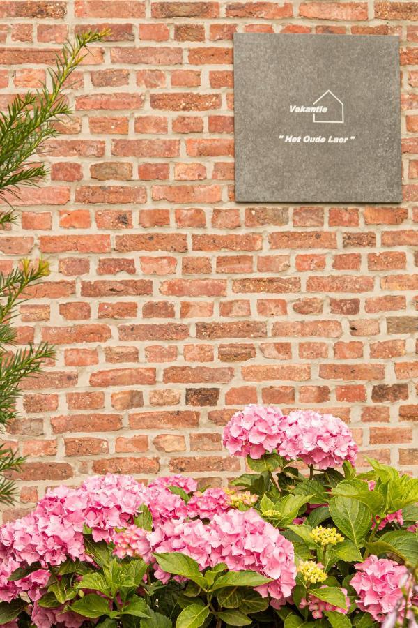 Vakantiewoning Het Oude Laer 比尔曾 外观 照片
